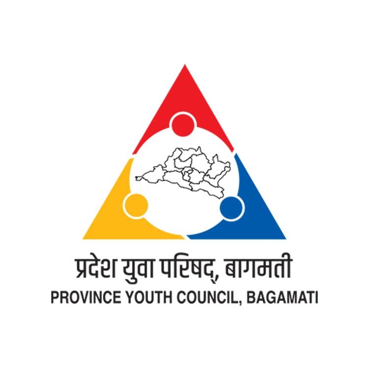 कार्यकारी उपाध्यक्ष