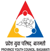 कार्यकारी उपाध्यक्ष 